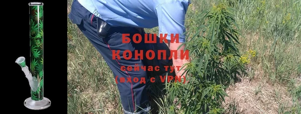 соль ск Липки